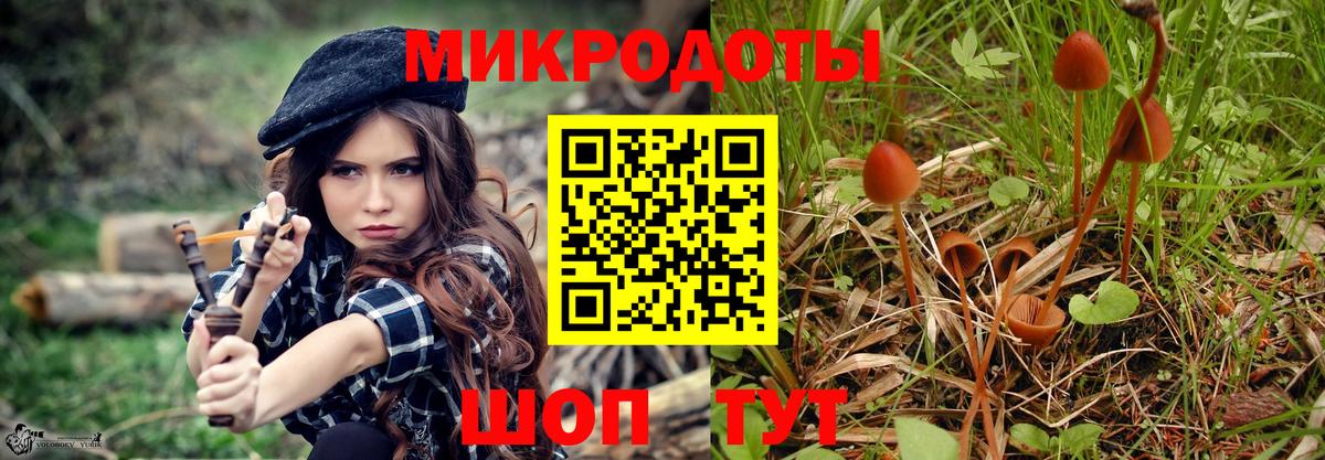 Галлюциногенные грибы Psilocybine cubensis  Вход с VPN  Фролово 